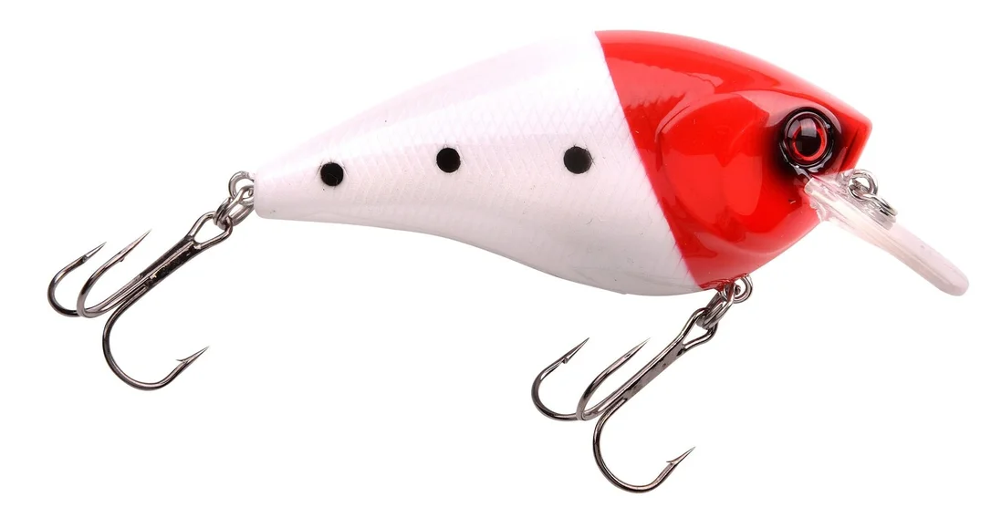 reniersfishing202606031908562394106