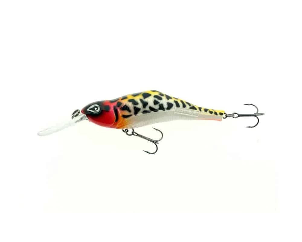 reniersfishing202606031933202417591