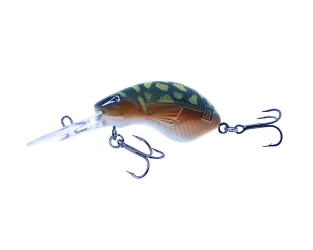 reniersfishing202606031933222417631