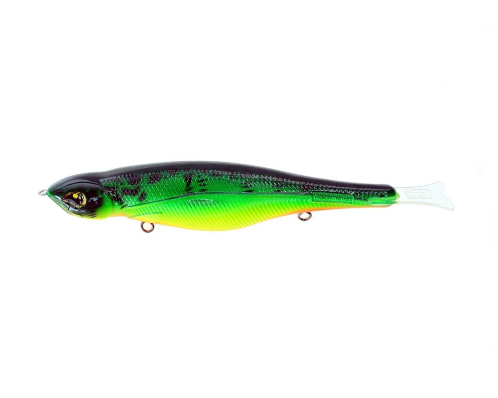 reniersfishing202606031933572418194
