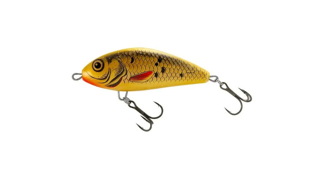 reniersfishing202606031935032419250