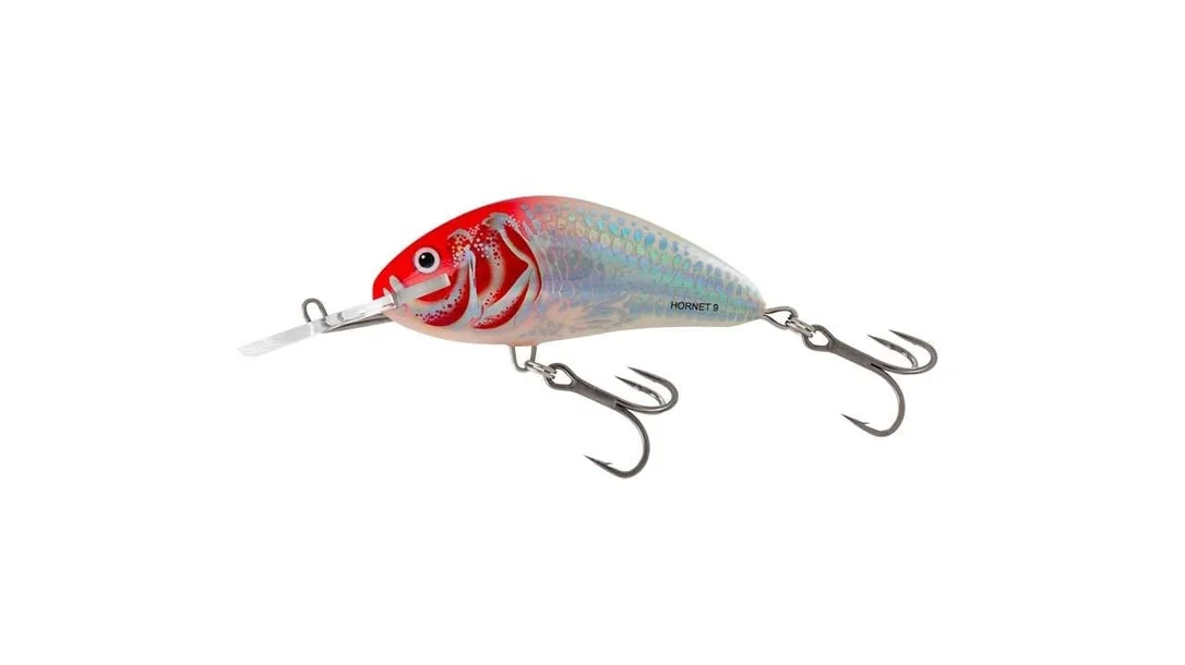 reniersfishing202606031935232419537