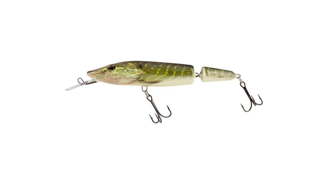 reniersfishing202606031935292419629