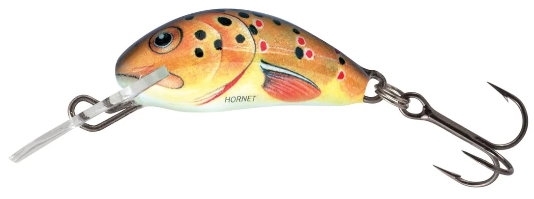 reniersfishing202606031935352419725