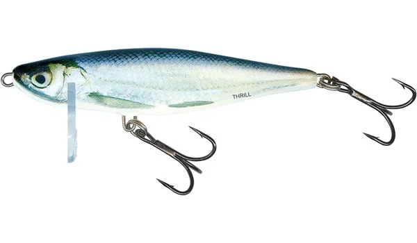 reniersfishing202606031935392419788