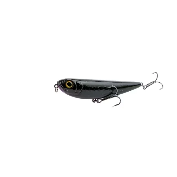 reniersfishing202606031941072425003