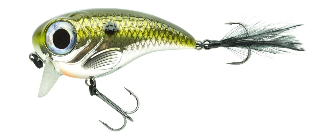 reniersfishing202606031945432429217