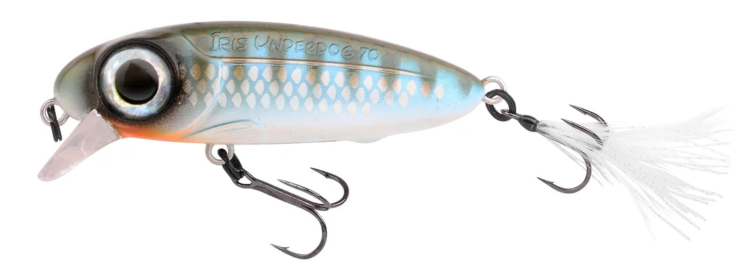 reniersfishing202606031946392430046