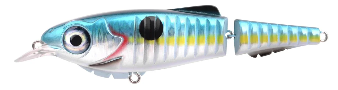 reniersfishing202606031947472431040