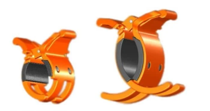 reniersfishing202606031949272432527