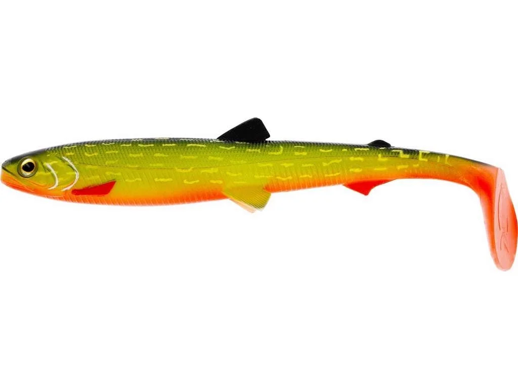 reniersfishing202606031957042439149