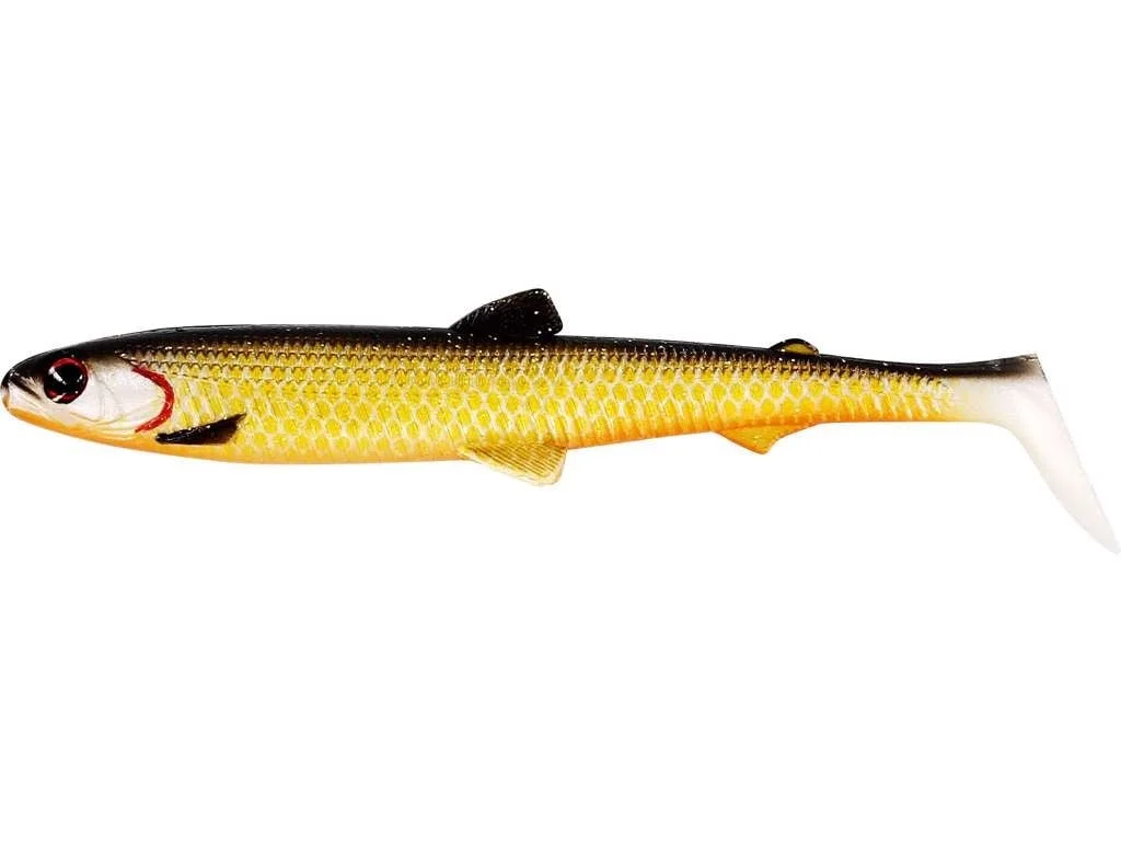 reniersfishing202606031957062439178
