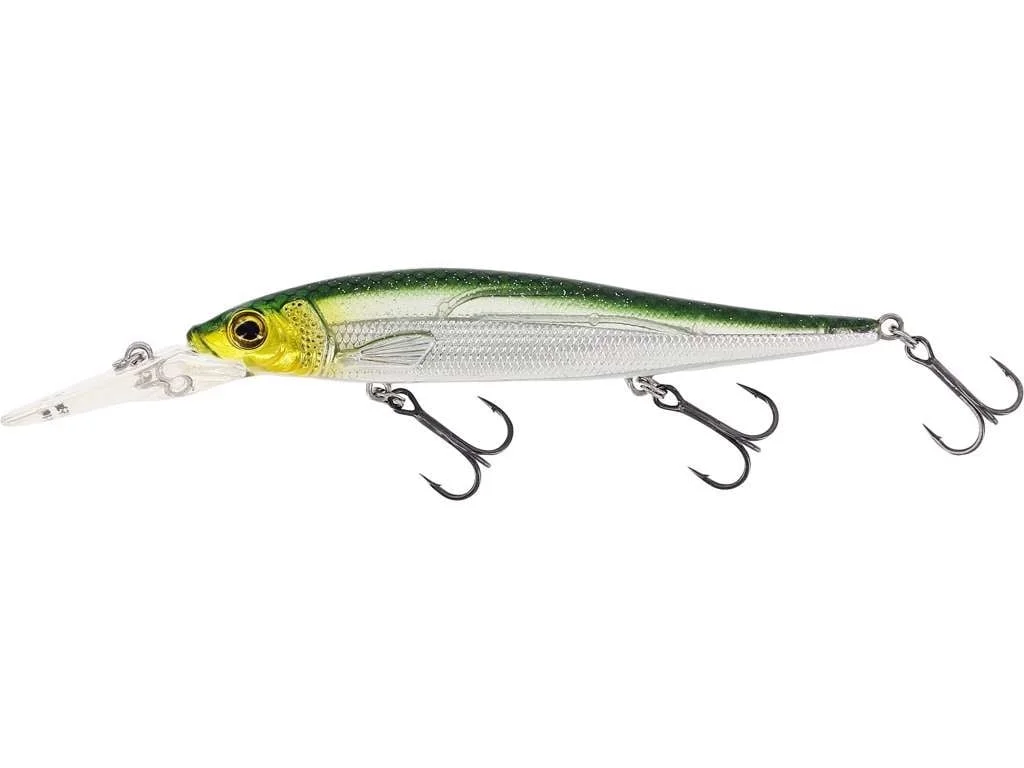 reniersfishing202606031957162439311
