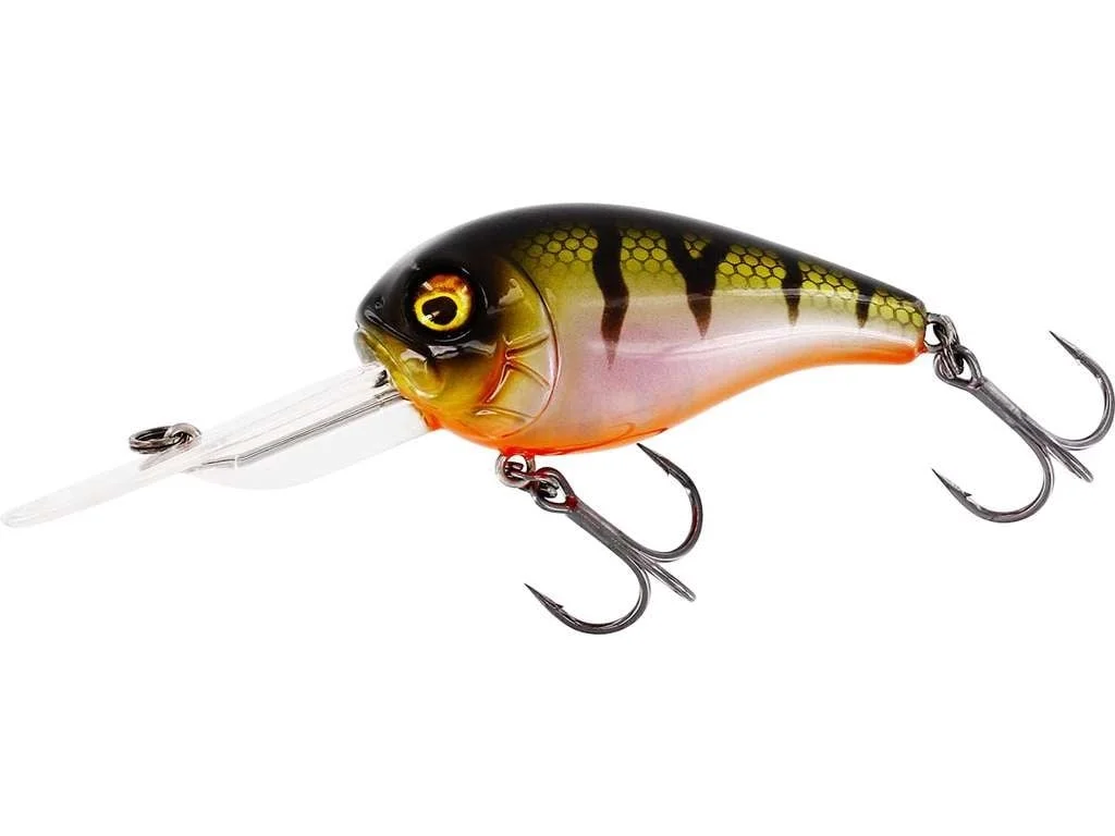reniersfishing202606031957252439433