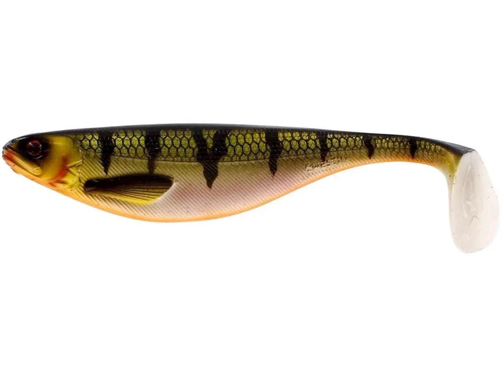 reniersfishing202606031957512439791