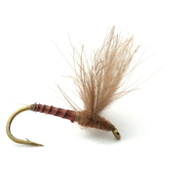 sportfishtackle202606031932192416641