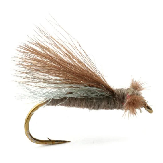 sportfishtackle202606031932322416841