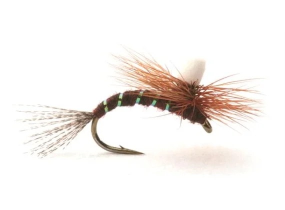 sportfishtackle202606031933582418197