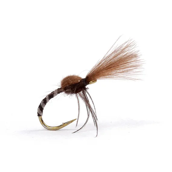 sportfishtackle202606031934592419181