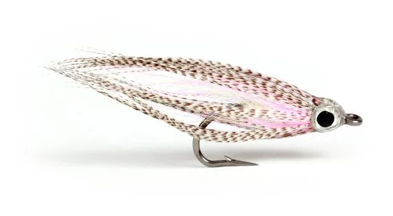 sportfishtackle202606031935462419892