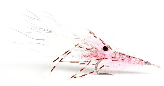 sportfishtackle202606031935512419973