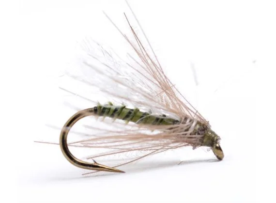 sportfishtackle202606031944452428360