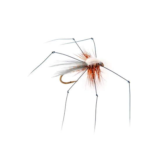 sportfishtackle202606031947262430715