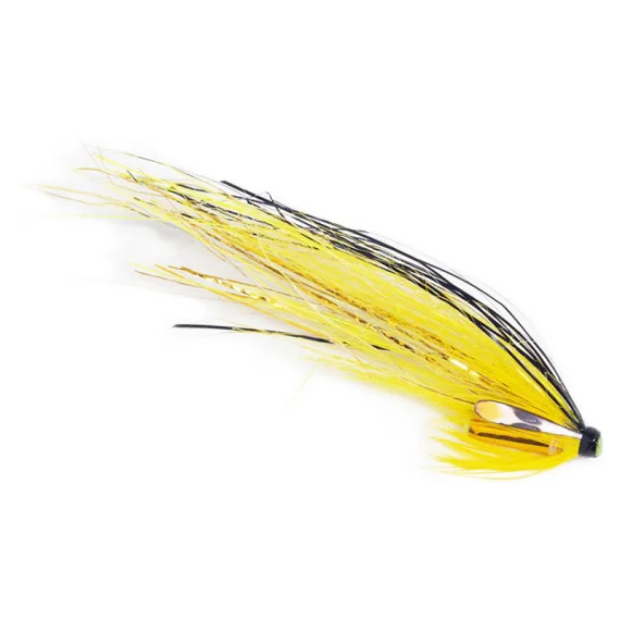 sportfishtackle202606031949552432936