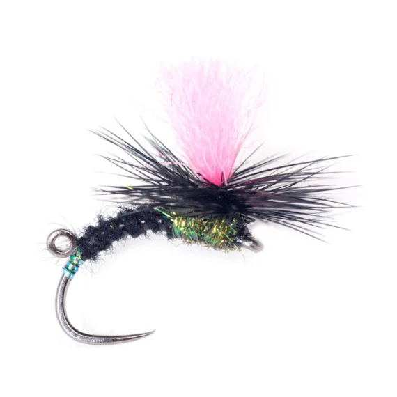 sportfishtackle202606031952412435343