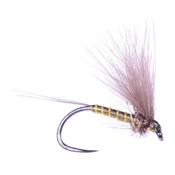 sportfishtackle202606032005502445918