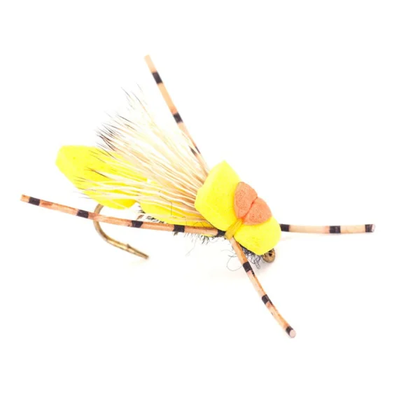 sportfishtackle202606032006062446131