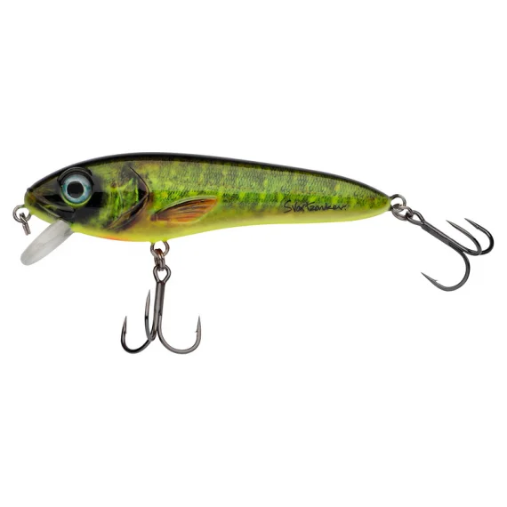sportfishtackle202606032050462478885
