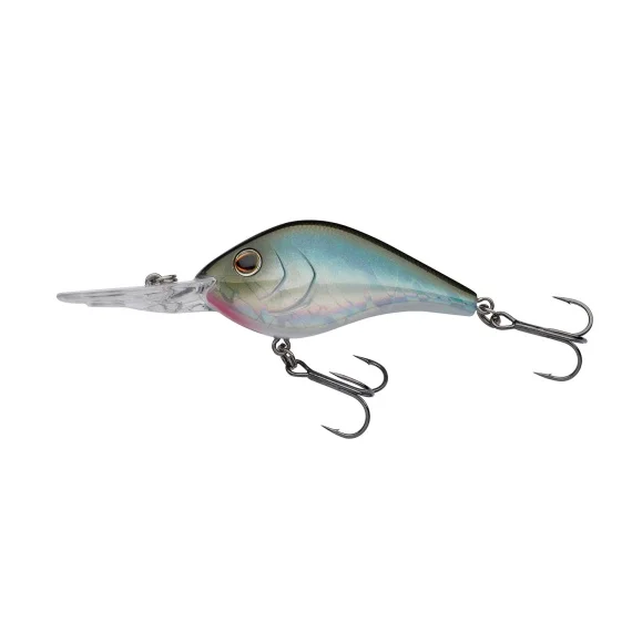 sportfishtackle202606032057152483400
