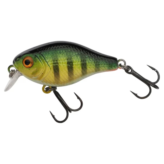 sportfishtackle202606032101572486613
