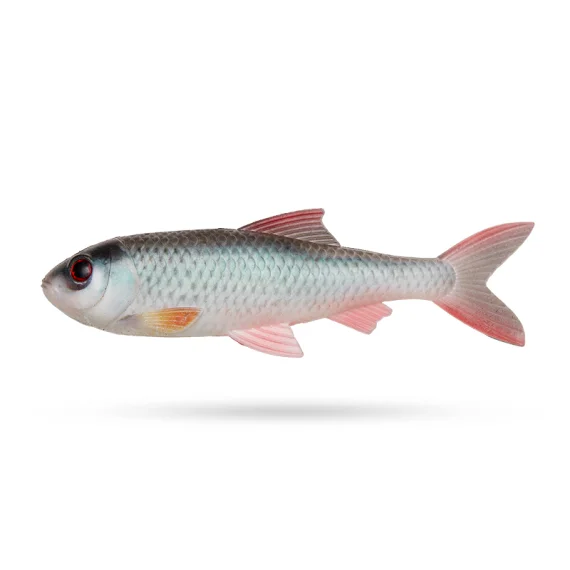 sportfishtackle202606032122152499989