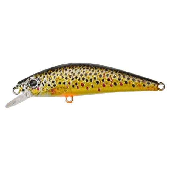 sportfishtackle202606032158572516670
