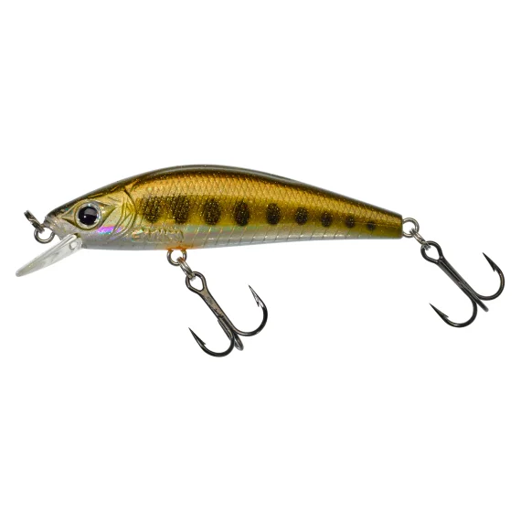 sportfishtackle202606032158582516679