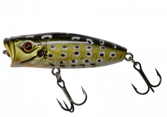 sportfishtackle202606032159012516699