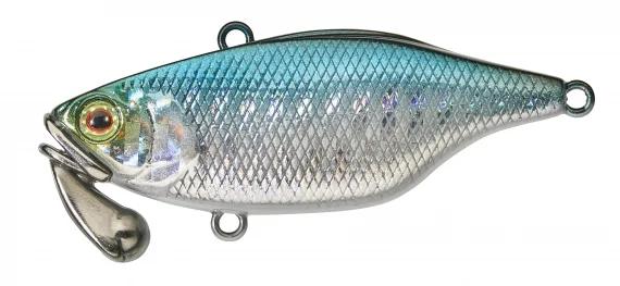 sportfishtackle202606032202452518394