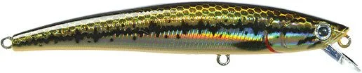 sportfishtackle202606032208282520499
