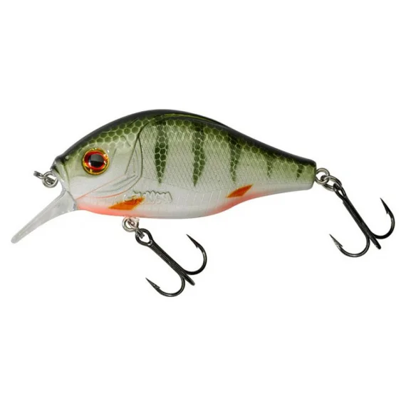 sportfishtackle202606032221592525606