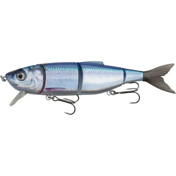 sportfishtackle202606032305512543025