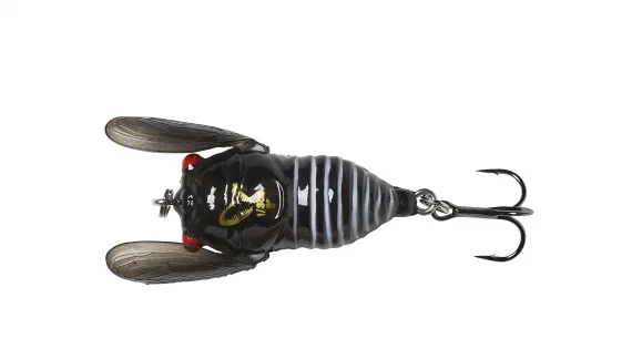 sportfishtackle202606032306262543207