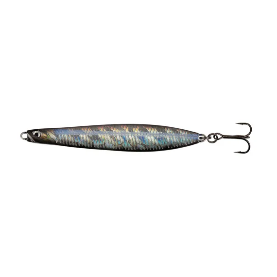 sportfishtackle202606032308252543856