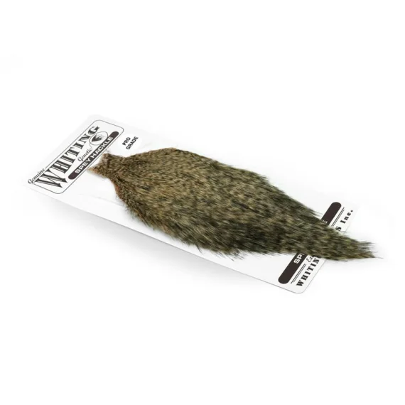 sportfishtackle202606032310352544571