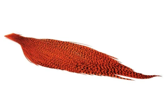 sportfishtackle202606032320002547317