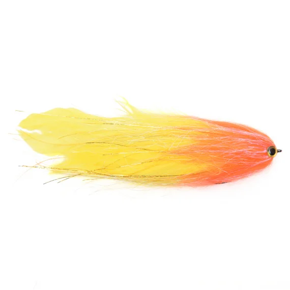 sportfishtackle202606032355442556911