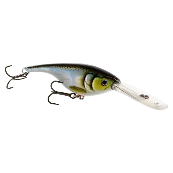 sportfishtackle202606040011532561416