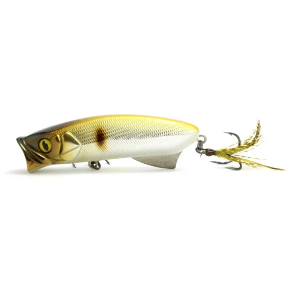 sportfishtackle202606040018462563361