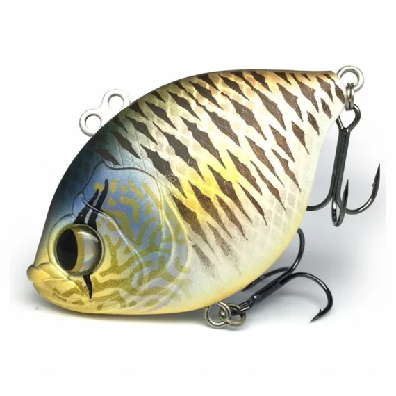 sportfishtackle202606040018532563401
